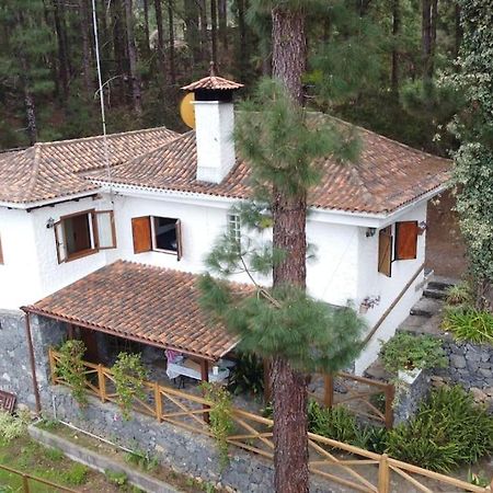 Willa Floral Garden House Icod De Los Vinos Zewnętrze zdjęcie