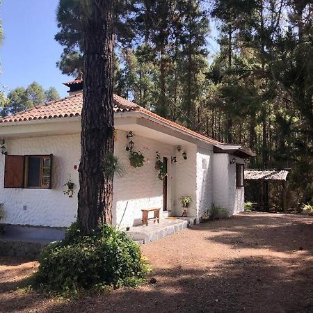 Willa Floral Garden House Icod De Los Vinos Zewnętrze zdjęcie