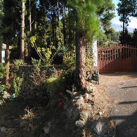 Willa Floral Garden House Icod De Los Vinos Zewnętrze zdjęcie