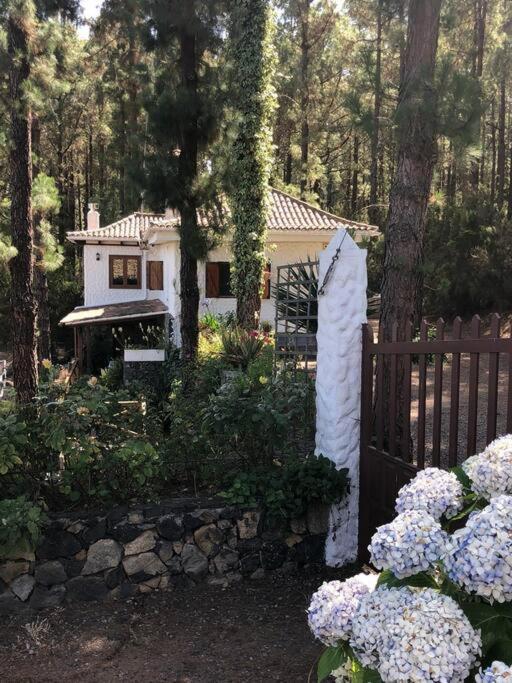 Willa Floral Garden House Icod De Los Vinos Zewnętrze zdjęcie