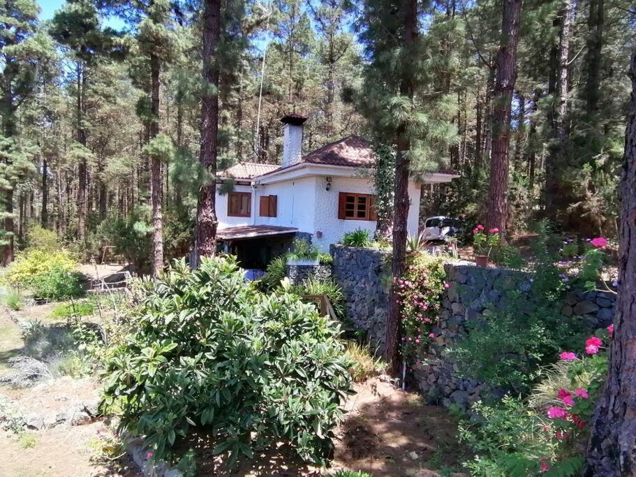 Willa Floral Garden House Icod De Los Vinos Zewnętrze zdjęcie
