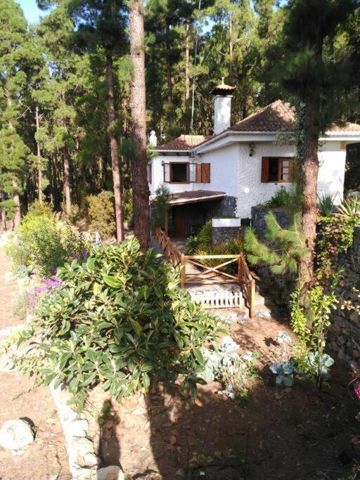 Willa Floral Garden House Icod De Los Vinos Zewnętrze zdjęcie