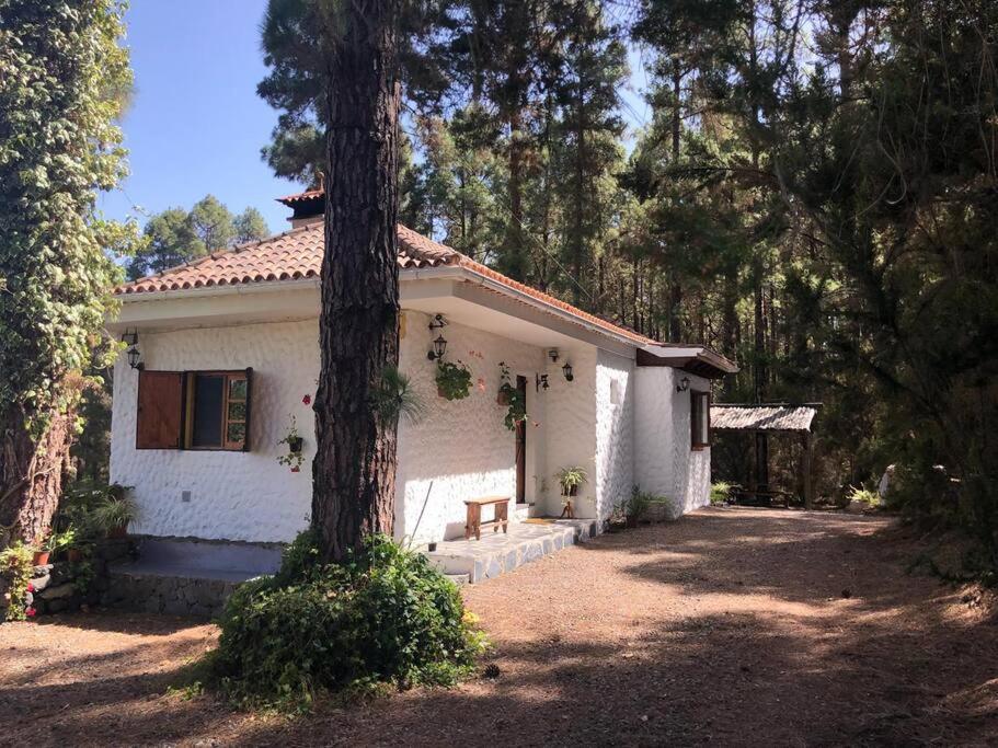 Willa Floral Garden House Icod De Los Vinos Zewnętrze zdjęcie