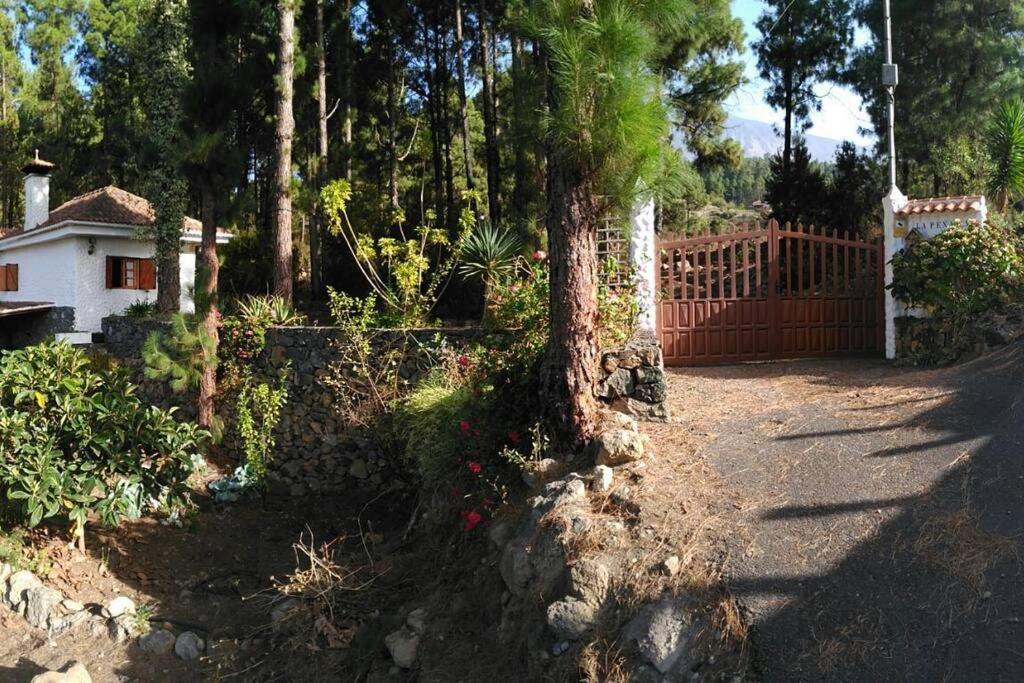 Willa Floral Garden House Icod De Los Vinos Zewnętrze zdjęcie