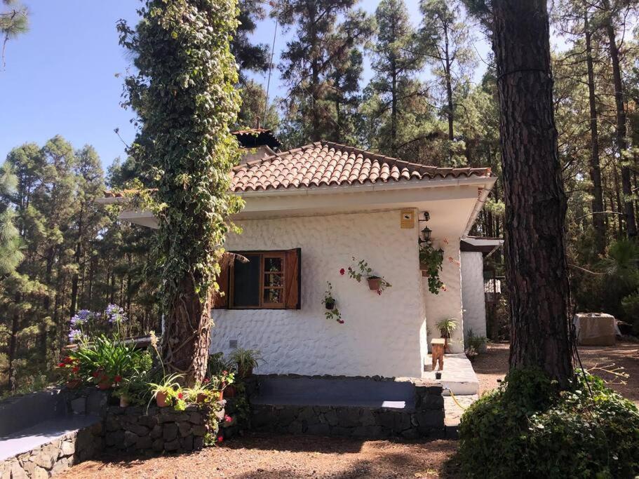 Willa Floral Garden House Icod De Los Vinos Zewnętrze zdjęcie